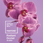 A cor de 2014: Radiant Orchid