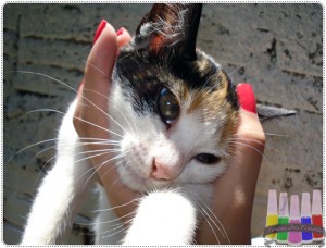 Pink Ácido – Arezzo